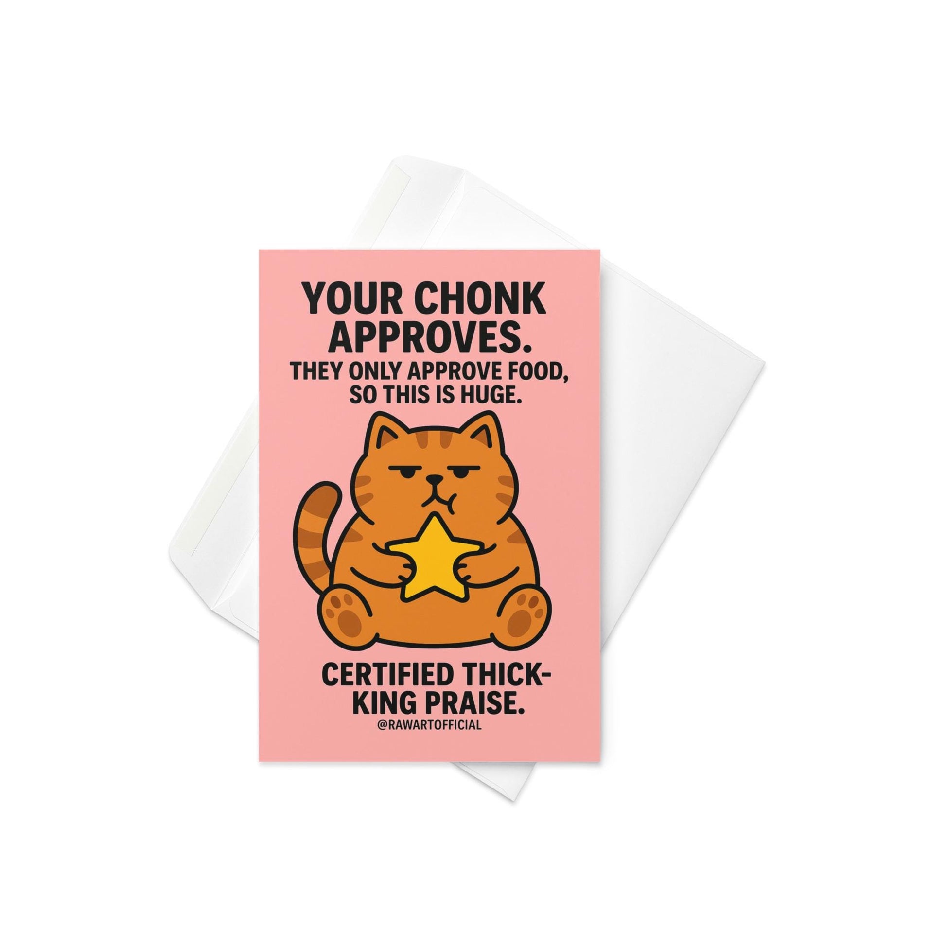 Chonky orange cat holding a star on a pink background with bold funny approval text.
